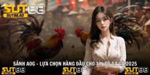 SẢNH AOG - Lựa Chọn Hàng Đầu Cho Tín Đồ Đá Gà 2025