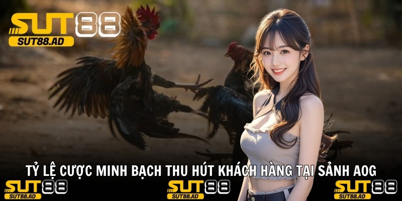 Tỷ lệ cược minh bạch thu hút khách hàng tại SẢNH AOG